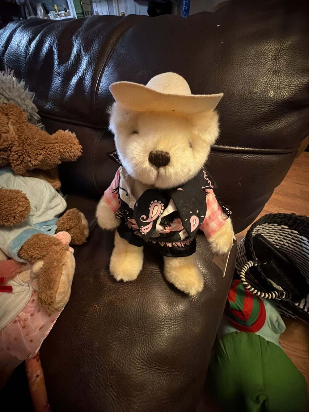 Hard Rock Cafe NASHVILLE 2007 Country Girl Teddy Bear 10" PLUSH MWMT Tag #39